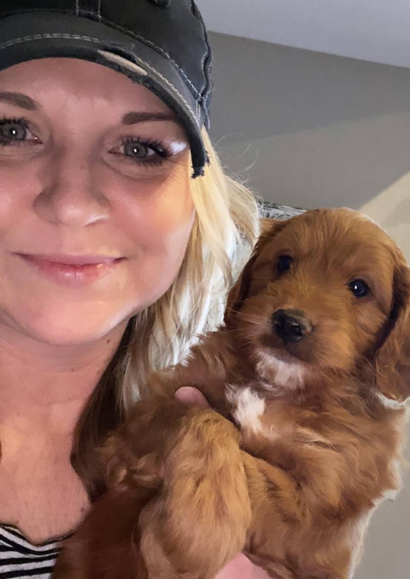 christina-wheeler-doodle-bliss-web A woman with blonde hair wearing a black cap smiles while holding a small brown Goldendoodle puppy with a white patch on its chest.