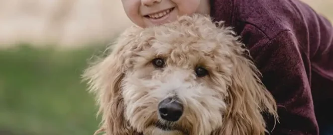 A young boy with brown hair and a maroon jacket hugs a fluffy, light brown dog outdoors. Both are looking at the camera and smiling, with greenery blurred in the background.